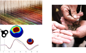 ERC Consolidator Grants 2022 - project highlights